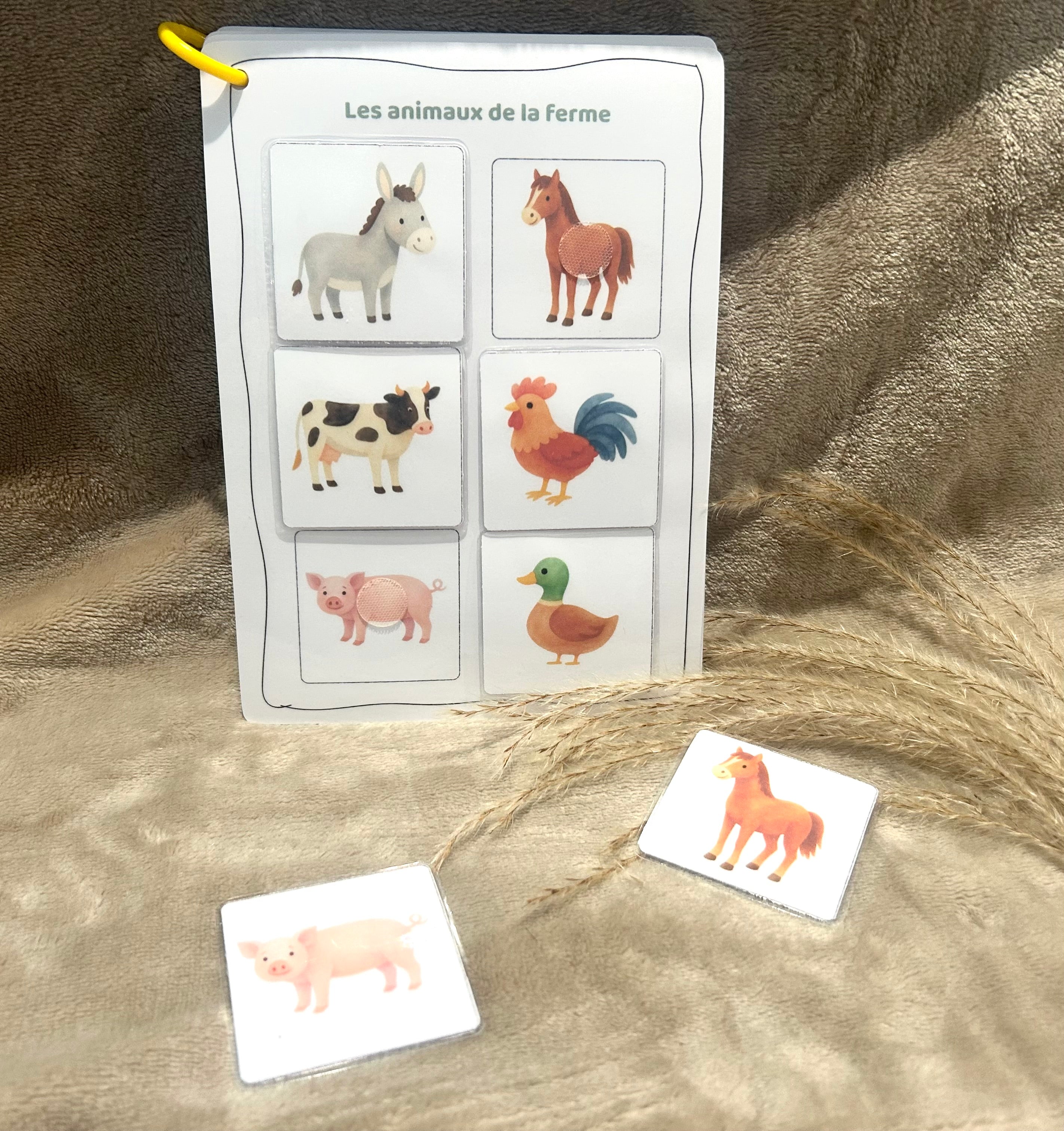 CARNET NIVEAU 1