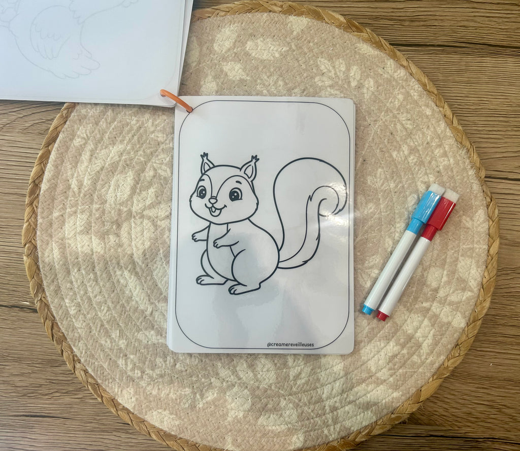Carnet de coloriage réutilisable