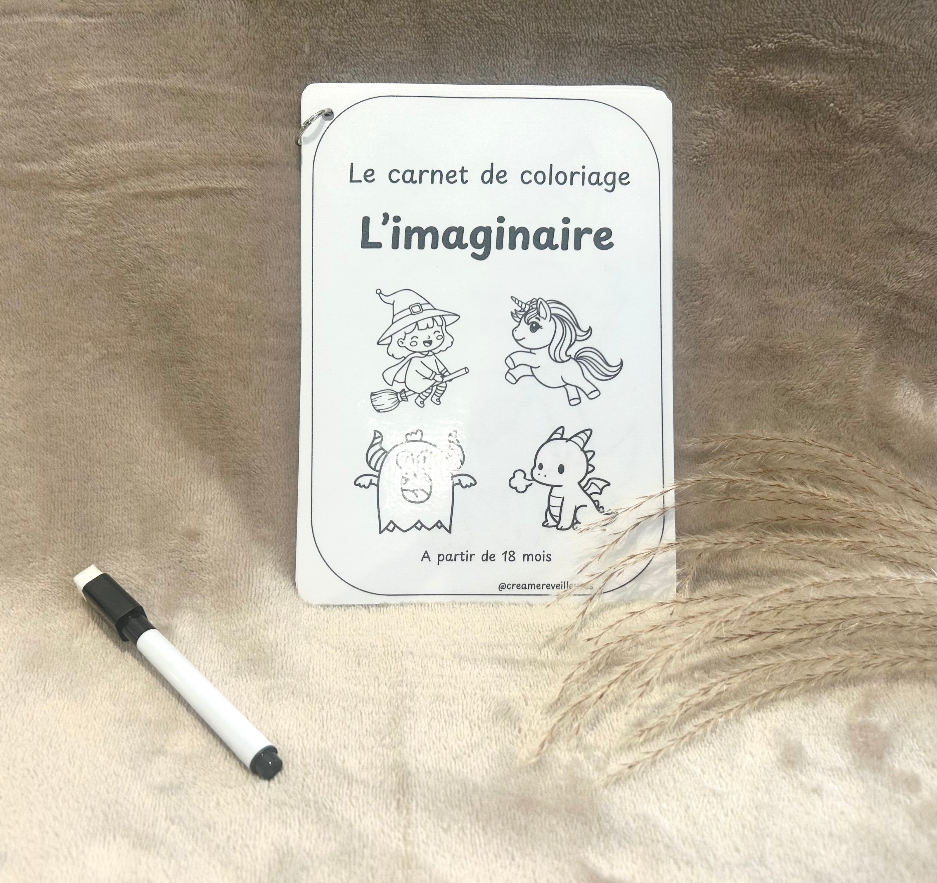 CARNET DE COLORIAGE RÉUTILISABLE