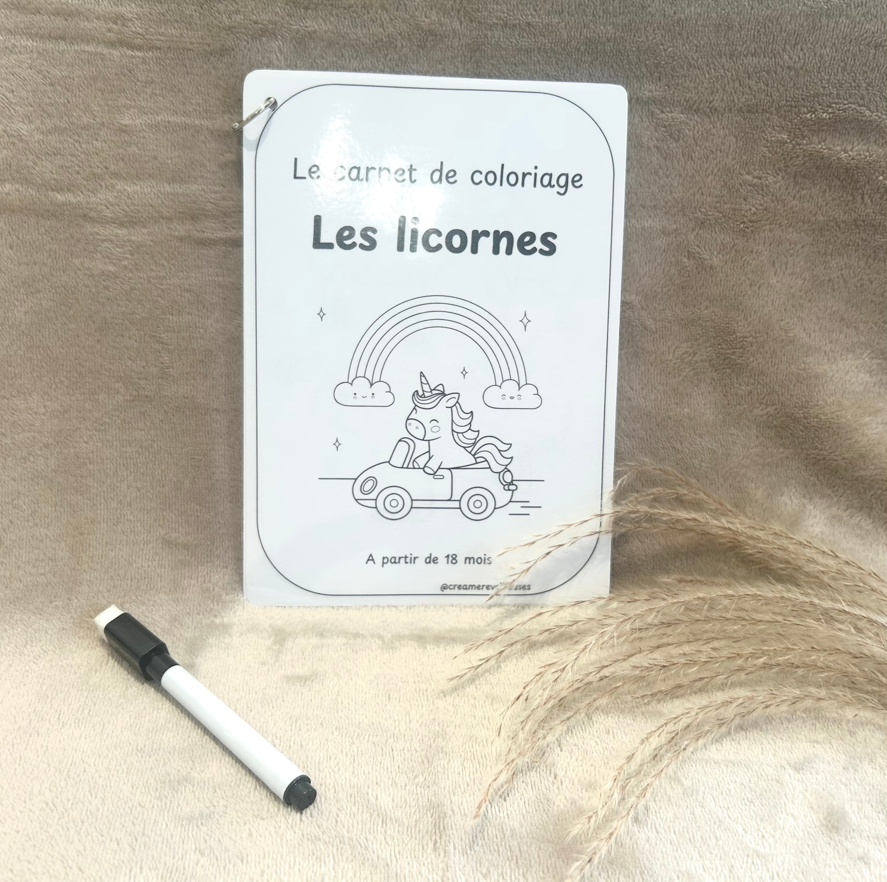 CARNET DE COLORIAGE RÉUTILISABLE