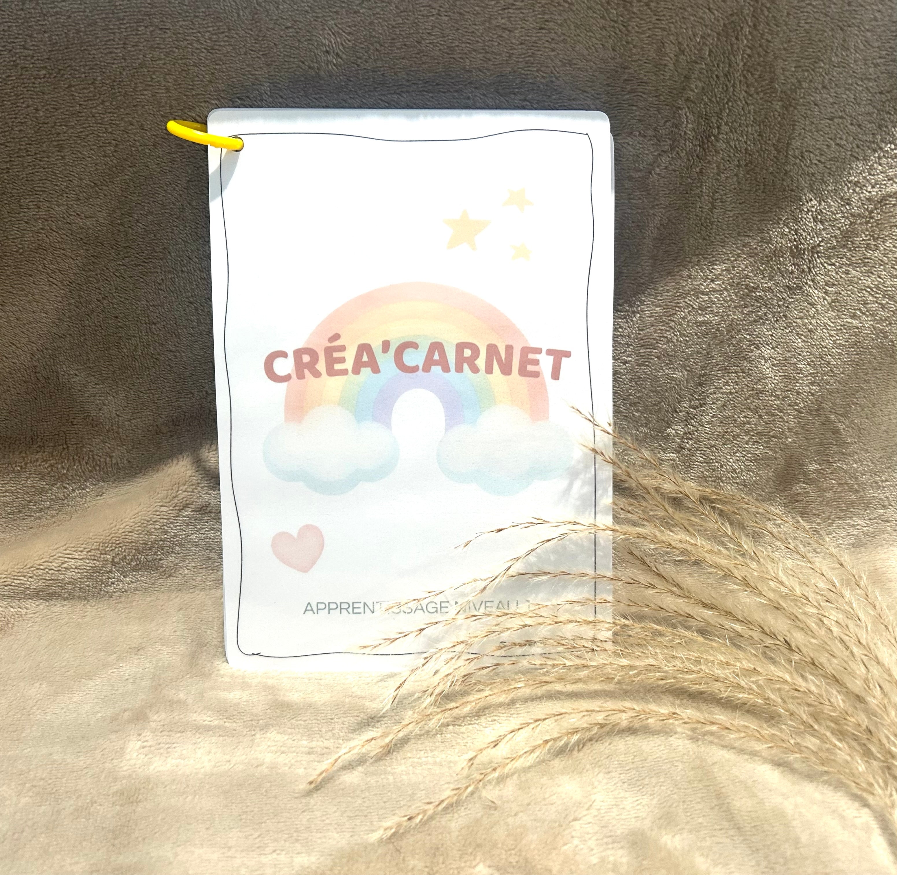 CARNET NIVEAU 1