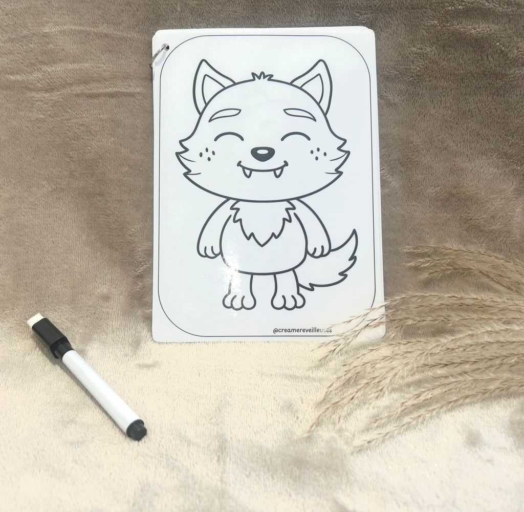 CARNET DE COLORIAGE RÉUTILISABLE