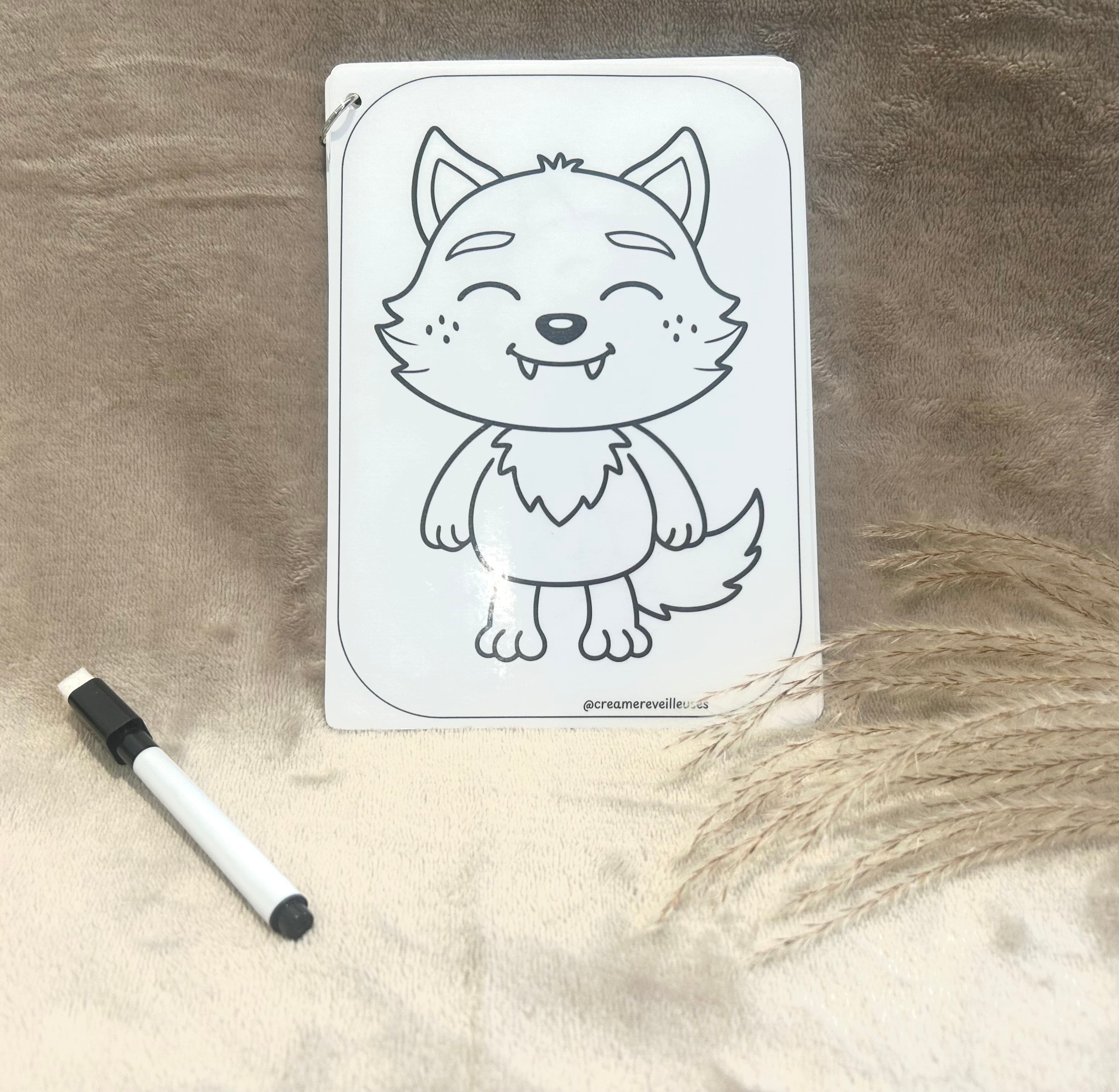 CARNET DE COLORIAGE RÉUTILISABLE